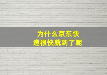 为什么京东快递很快就到了呢