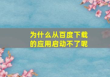 为什么从百度下载的应用启动不了呢