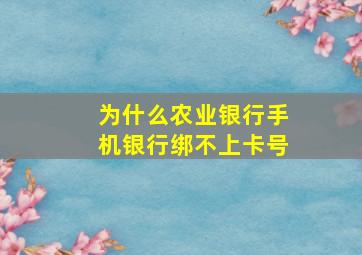 为什么农业银行手机银行绑不上卡号