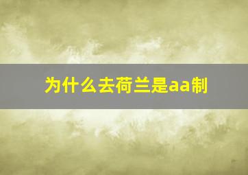 为什么去荷兰是aa制