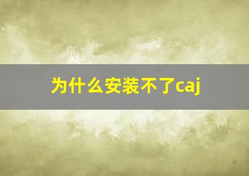 为什么安装不了caj