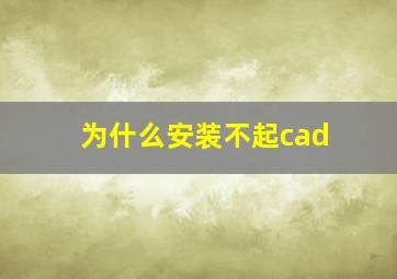 为什么安装不起cad