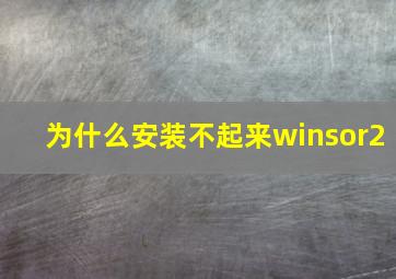 为什么安装不起来winsor2