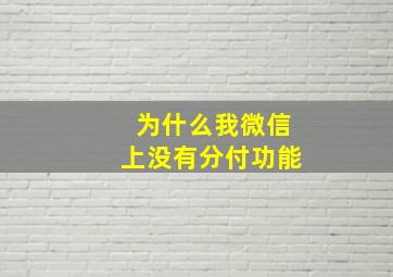 为什么我微信上没有分付功能