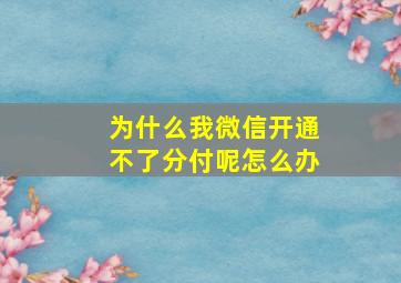 为什么我微信开通不了分付呢怎么办