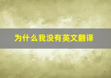 为什么我没有英文翻译