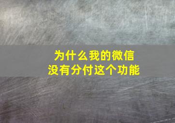 为什么我的微信没有分付这个功能