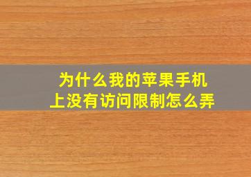 为什么我的苹果手机上没有访问限制怎么弄