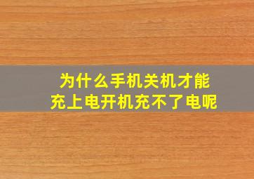 为什么手机关机才能充上电开机充不了电呢