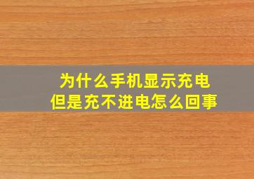 为什么手机显示充电但是充不进电怎么回事