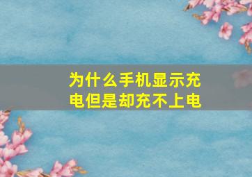 为什么手机显示充电但是却充不上电