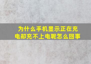 为什么手机显示正在充电却充不上电呢怎么回事