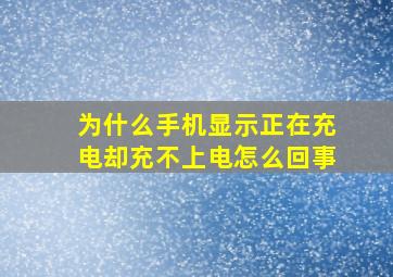 为什么手机显示正在充电却充不上电怎么回事