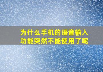 为什么手机的语音输入功能突然不能使用了呢