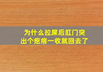 为什么拉屎后肛门突出个疙瘩一收就回去了