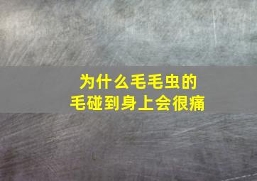 为什么毛毛虫的毛碰到身上会很痛