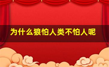 为什么狼怕人类不怕人呢