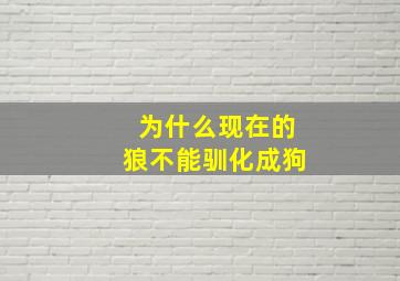 为什么现在的狼不能驯化成狗