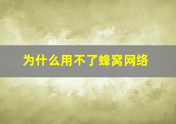 为什么用不了蜂窝网络