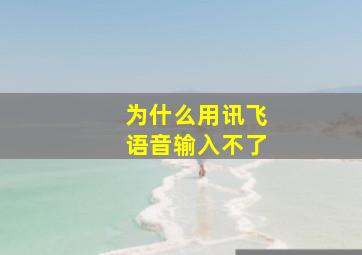 为什么用讯飞语音输入不了