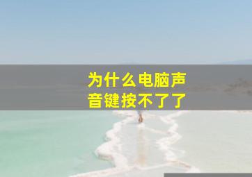 为什么电脑声音键按不了了