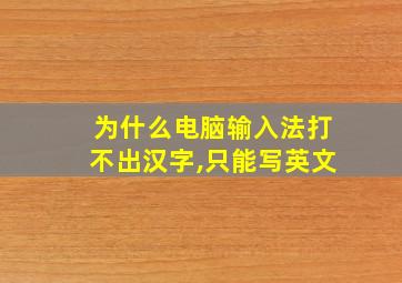 为什么电脑输入法打不出汉字,只能写英文