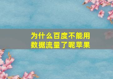 为什么百度不能用数据流量了呢苹果