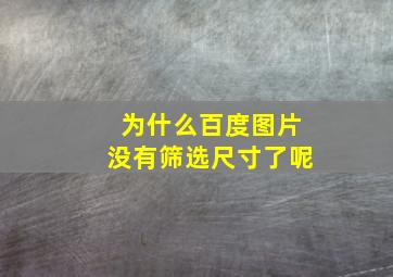 为什么百度图片没有筛选尺寸了呢