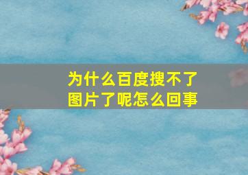 为什么百度搜不了图片了呢怎么回事