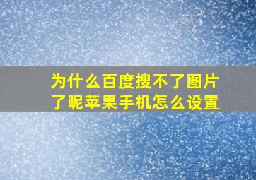 为什么百度搜不了图片了呢苹果手机怎么设置