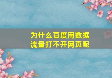 为什么百度用数据流量打不开网页呢