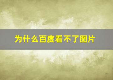 为什么百度看不了图片