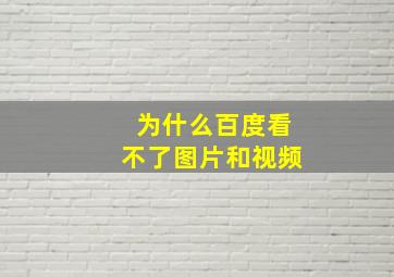 为什么百度看不了图片和视频