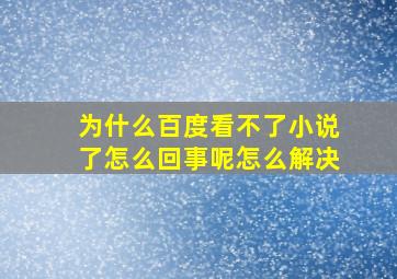 为什么百度看不了小说了怎么回事呢怎么解决