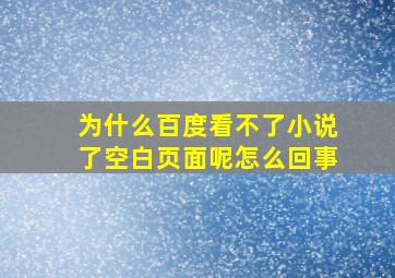 为什么百度看不了小说了空白页面呢怎么回事