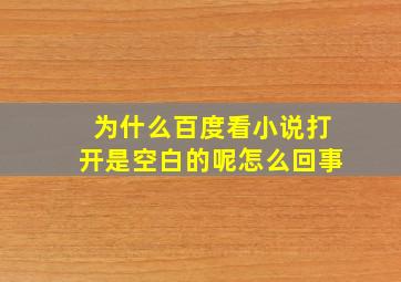 为什么百度看小说打开是空白的呢怎么回事