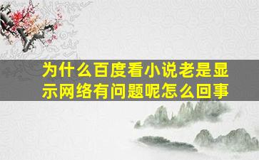 为什么百度看小说老是显示网络有问题呢怎么回事