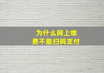 为什么网上缴费不能扫码支付