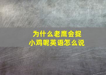 为什么老鹰会捉小鸡呢英语怎么说