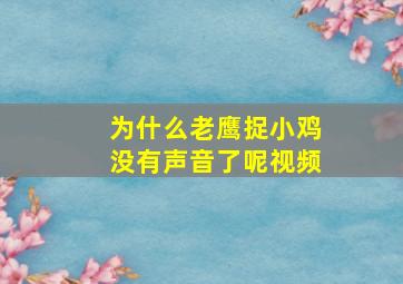 为什么老鹰捉小鸡没有声音了呢视频