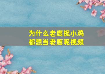 为什么老鹰捉小鸡都想当老鹰呢视频