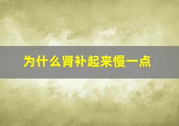 为什么肾补起来慢一点