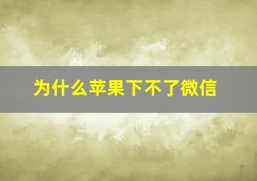 为什么苹果下不了微信