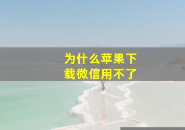 为什么苹果下载微信用不了