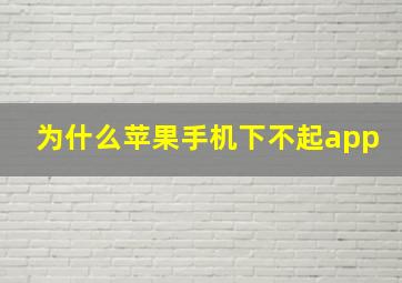 为什么苹果手机下不起app