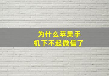 为什么苹果手机下不起微信了