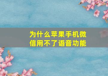 为什么苹果手机微信用不了语音功能