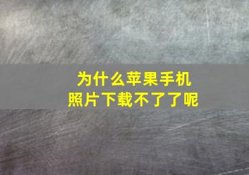 为什么苹果手机照片下载不了了呢