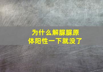 为什么解脲脲原体阳性一下就没了