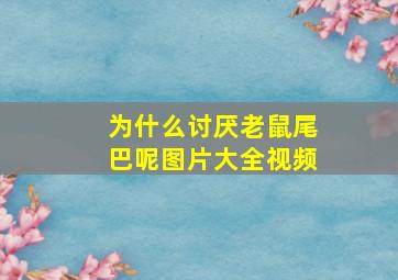 为什么讨厌老鼠尾巴呢图片大全视频